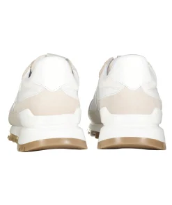 Bridge Runner Sneaker