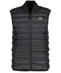 Insulated Vest