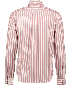 Reg Archive Oxford Stripe
