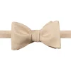Silk Bow Tie