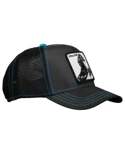 Stallion Night Reflective