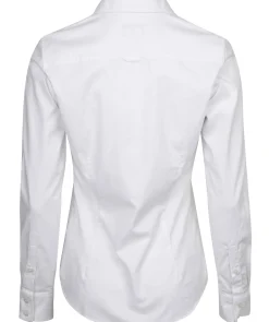 Stretch Oxford Solid