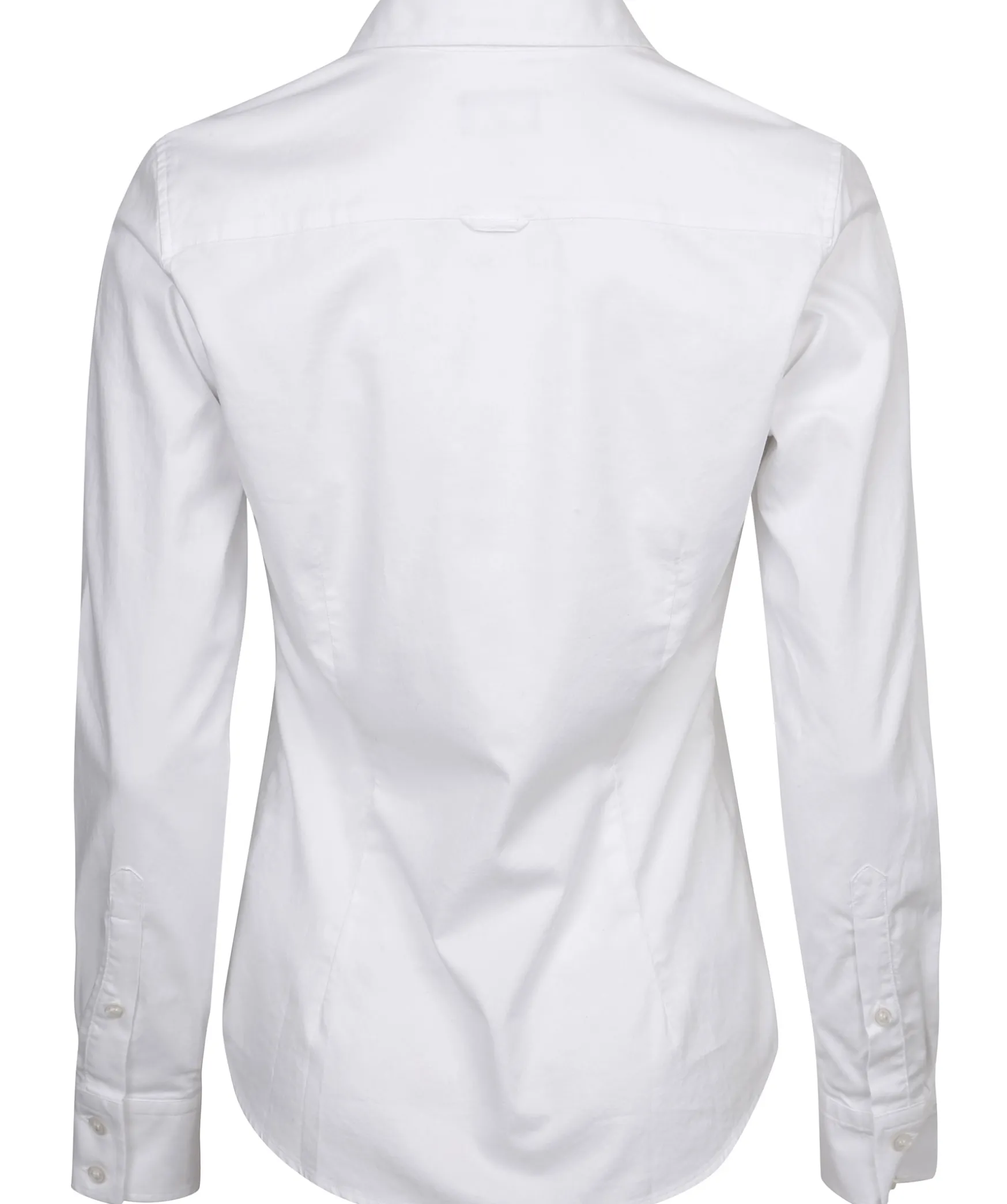 Stretch Oxford Solid