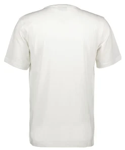 Tshirt Teddy Skeleton