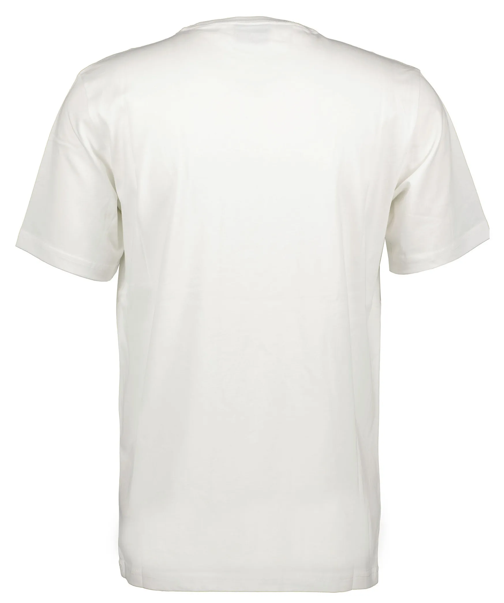 Tshirt Teddy Skeleton